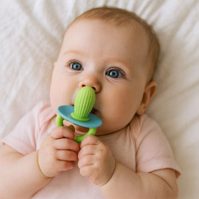 anneau de dentition cactus