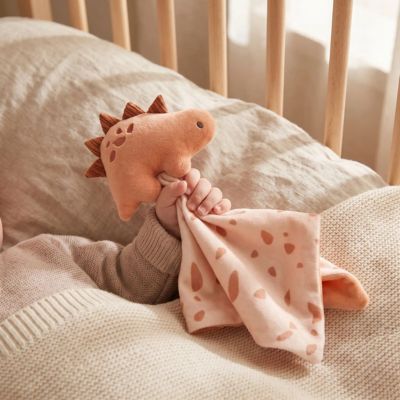 doudou plat stégosaure