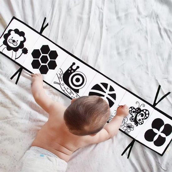 livre bebe papillon et lion