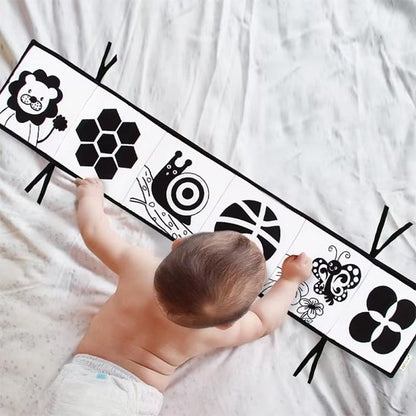 livre bebe papillon et lion